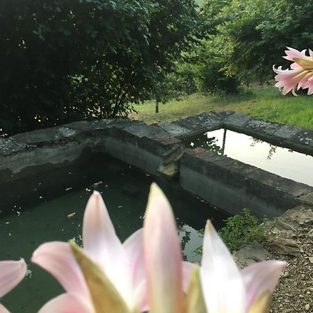Relax Nella Natura Bolano Екстер'єр фото