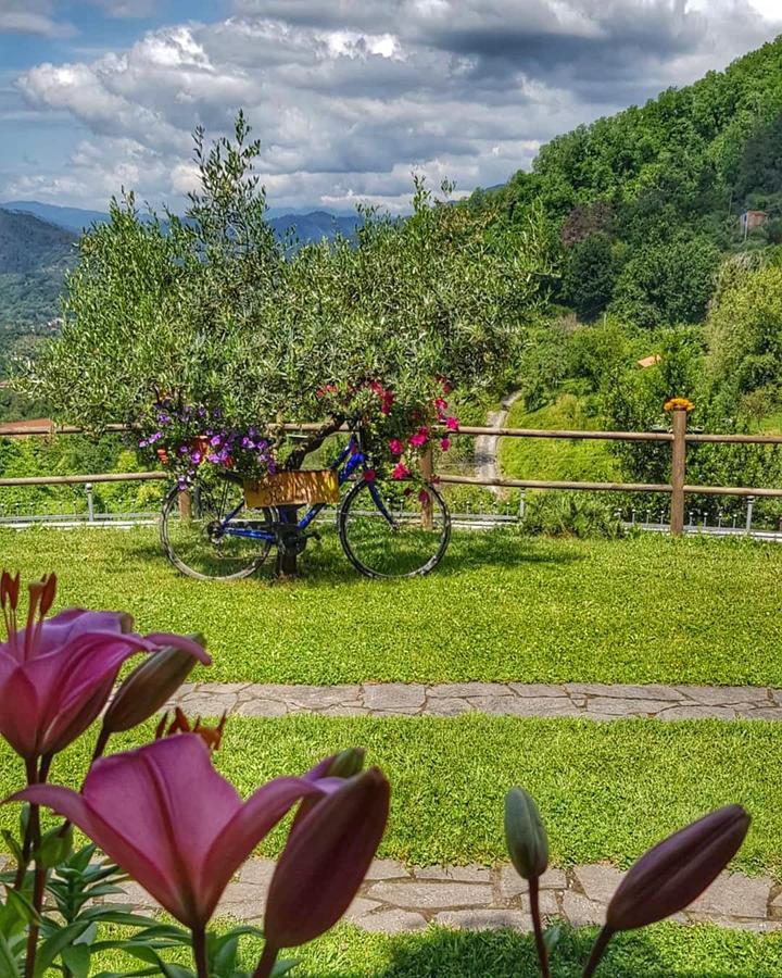 Relax Nella Natura Bolano Екстер'єр фото